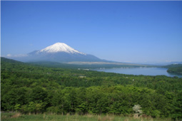 富士山和河口湖